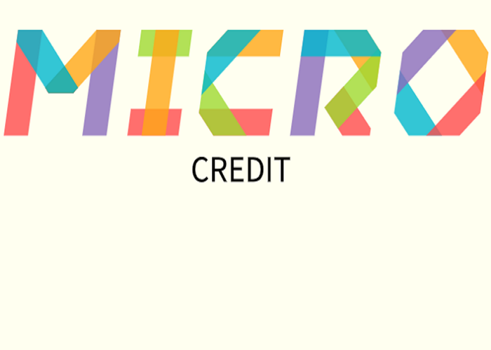 Micro Credit