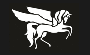 S-systems
