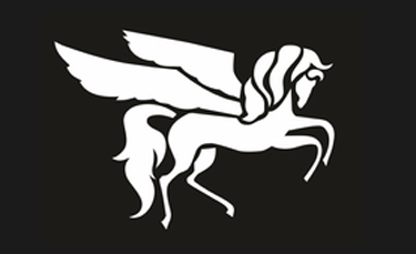 S-systems